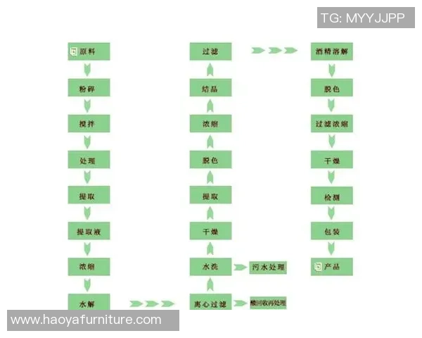 武汉排球队排球战术解析与控制体系的全面探讨与实践应用
